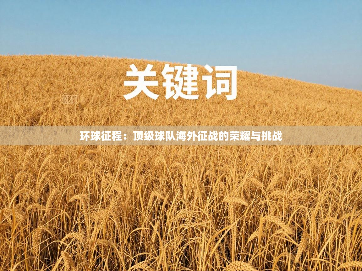 环球征程:顶级球队海外征战的荣耀与挑战