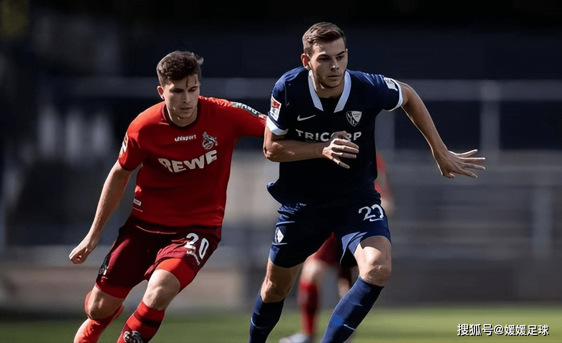 包含霍芬海姆主场守住胜利，继续保持稳定的词条